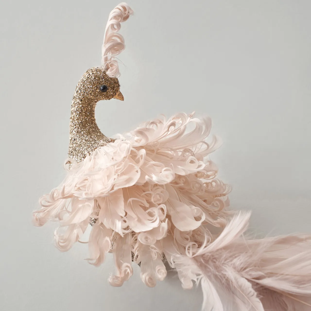 Z Gallerie Champagne Peacock Clip - Set of 2> Ornaments