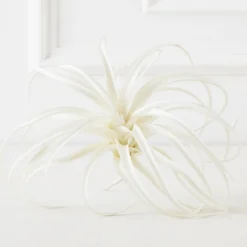 Z Gallerie Faux Air Plant - Set of 3> Home Decor | Décor Sale