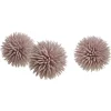 Z Gallerie Faux Allium Sphere - Set of 3> Home Decor | Décor Sale
