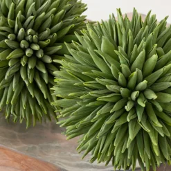 Z Gallerie Faux Allium Sphere - Set of 3> Home Decor | Décor Sale