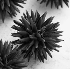 Z Gallerie Faux Allium Sphere - Set of 9><noscript><img width=