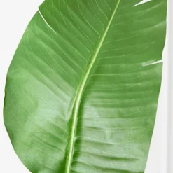 Z Gallerie Faux Palm Tree><noscript><img width=