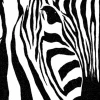 Z Gallerie Graceful Stripes> Canvas | Black