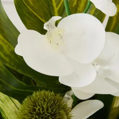 Z Gallerie Phalaenopsis Leaf In Glass><noscript><img width=