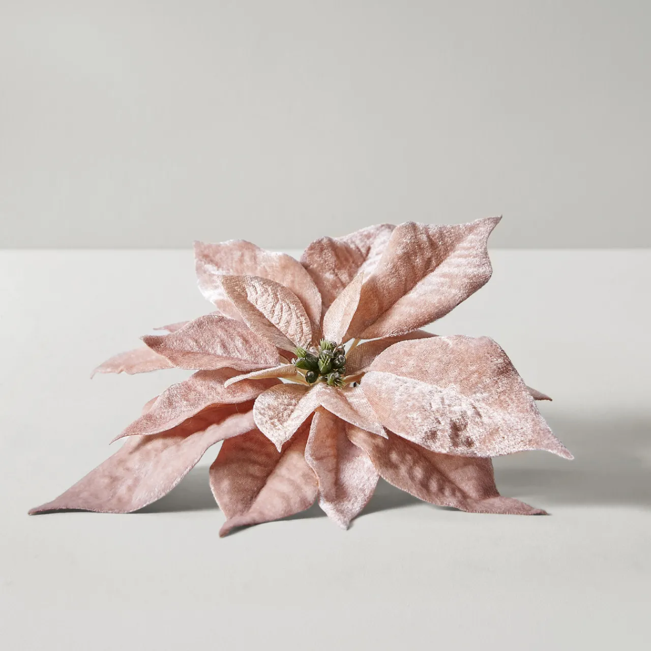 Z Gallerie Velvet Poinsettia Clip - Blush - Set of 3> Ornaments | Décor Sale